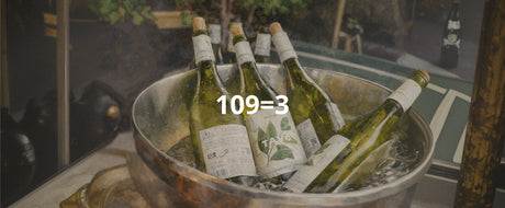 3 ב 109